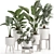 Tropical Indoor Plant Collection 3D model small image 1