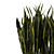 Sansevieria Snake Plant: Black Pot Elegance 3D model small image 3