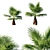  Majestic Washingtonia Filifera Tree 3D model small image 1