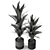 Botanical Bliss: 296 Plant Collection 3D model small image 4