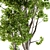 Evergreen Tree Broadleaf N1 3D model small image 2