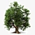  Majestic Oak Tree Sculpture 3D model small image 1