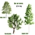 Diverse Set of Tall Trees 3D model small image 1