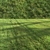 Lush Green Summer Grass 3D model small image 4