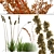 Grassland Oasis: 5 Plant Types 3D model small image 2