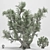 Elegant Olive Tree 110 3D model small image 1