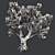 Exotic African Olive Tree 3D model small image 4