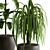 42-Piece Hanging Indoor Plants Set 3D model small image 2