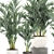 Tropical Palm Collection in White Pots 3D model small image 3