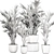 Tropical Palm Collection in White Pots 3D model small image 5