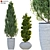 Pristine Pine Duo in Potted Perfection 3D model small image 1