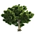 American Sycamore: Low Poly Tree 3D model small image 3