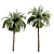 Tropical Oasis: Set of 6 Palms 3D model small image 3