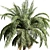 Tropical Oasis: Set of 6 Palms 3D model small image 4