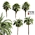 Tropical Oasis: Set of 6 Palms 3D model small image 5