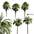 Tropical Oasis: Set of 6 Palms 3D model small image 6