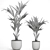 Tropical Palm Collection in White Pots 3D model small image 5