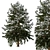 Snowy Pine Tree Winter 3D model small image 1