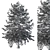 Snowy Pine Tree Winter 3D model small image 3