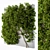 Lush Green Ivy Wall Plants 3D model small image 1