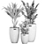 Exotic Indoor Plant Collection 3D model small image 5