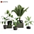 Botanical Bliss: 5-Plant Set 3D model small image 1