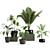 Botanical Bliss: 5-Plant Set 3D model small image 8