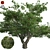 Bountiful Cherry Tree: Realistic, Optimized, High-Quality 3D model small image 1