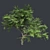 Thorny Hook Tree
(Gvozdichnoe derevo s zaborom) 3D model small image 2