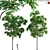 Premium 3D Tree Model Collection 3D model small image 1