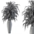 Dried Botanicals: Natural Decorations 3D model small image 3