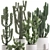 Exotic Cactus Collection White Pot Indoor Plants 3D model small image 3