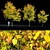 Autumn Bliss: Tilia Europaea & Linden Tree 3D model small image 1