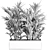 Tropical Palm Collection in White Pots 3D model small image 4