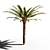Tropical Paradise: 18x18m Palm Tree 3D model small image 2