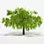 Vintage Apple Tree 5S Sculpture 3D model small image 2