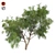 Optimized Honey Mesquite Tree  3D model small image 1