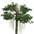 Optimized Kapok Tree 3D Model 3D model small image 4