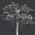 Optimized Kapok Tree 3D Model 3D model small image 5