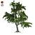 Zen Garden Katsura Tree 3D model small image 1