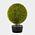 Giant Thuja Folding Planter 3D model small image 1