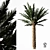 Tropical Palm Tree 5S 3D model small image 2