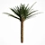 Tropical Palm Tree 5S 3D model small image 4