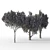 Mediterranean Trio: Three Majestic Olive Trees 3D model small image 4