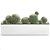 Exotic Cactus Collection in White Pots 3D model small image 2