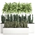Tropical Plant Collection: Exotic Cacti, Fern, Sansevieria 3D model small image 1