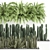 Tropical Plant Collection: Exotic Cacti, Fern, Sansevieria 3D model small image 2