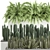 Tropical Plant Collection: Exotic Cacti, Fern, Sansevieria 3D model small image 4