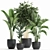 Exotic Indoor Plant Collection in Black Vase 3D model small image 1