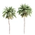 5 Palms VRay - Tropical Paradise in Your Render 3D model small image 3